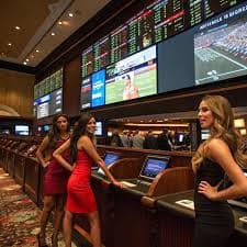 Informasi Platform holybet